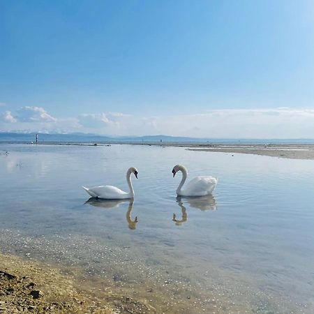 " Sunshine Am See " FDH Buitenkant foto