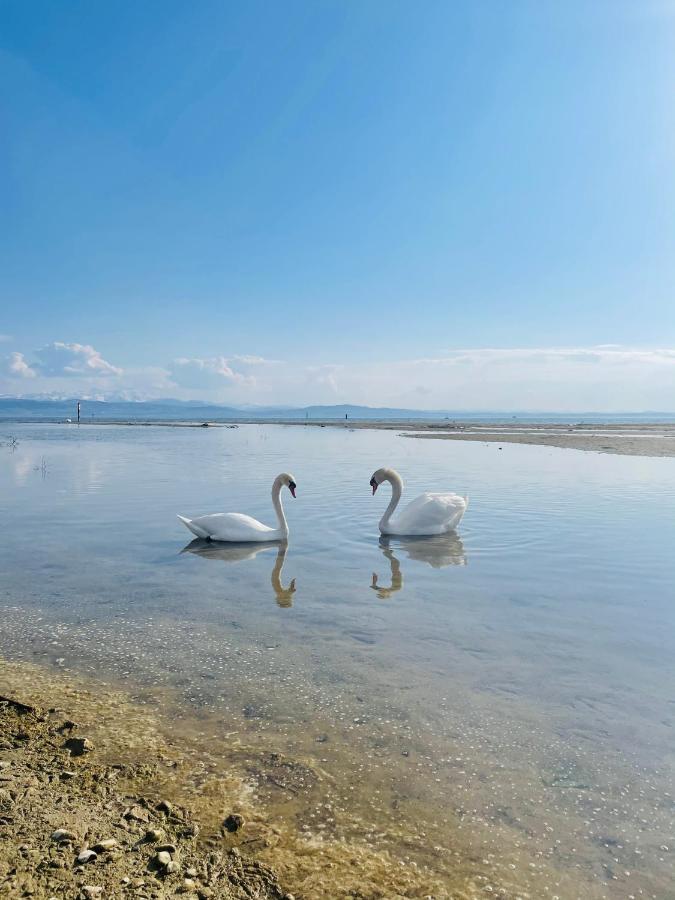 " Sunshine Am See " FDH Buitenkant foto